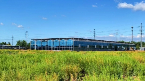近期鄉村振興可申報的43項國家項目補助全在這！